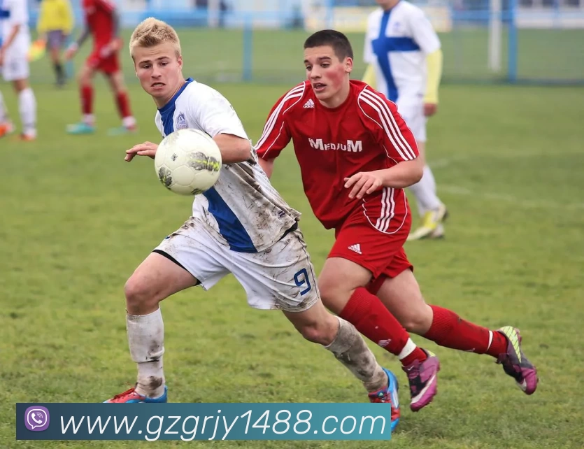 华体会体育平台生态图